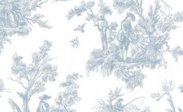 French Toile