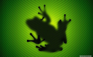 Frog Wallpapers Free