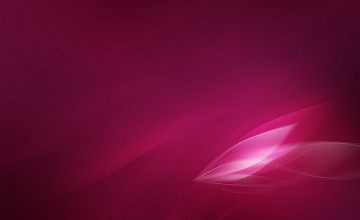 Fuchsia Wallpapers