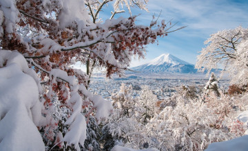 Fuji Winter