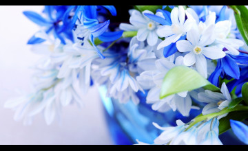 Full Screen Flower