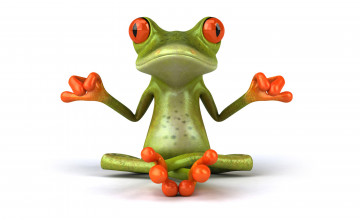 Funny Frog Wallpaper Desktop