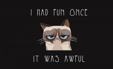 Funny Grumpy Cat Wallpaper
