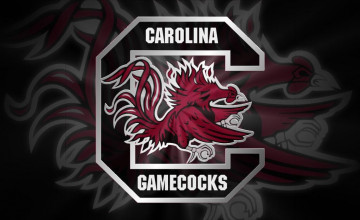 Gamecock Wallpapers for Computer