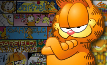 Garfield Wallpaper Backgrounds