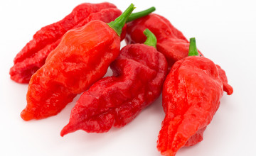 Ghost Pepper Wallpapers