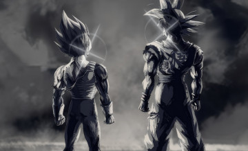 Goku Vegeta 4k Wallpapers