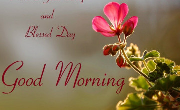 Good Morning Friends Wallpapers For Facebook