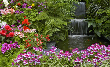Google Images Free Wallpapers Gardens