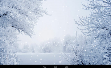 Google Images Winter Desktop