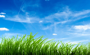 Grass and Sky Wallpaper
