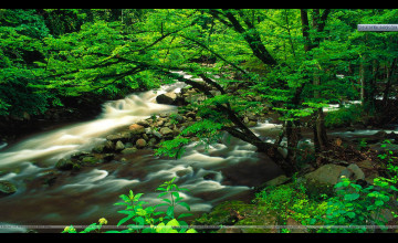 Great Smoky Mountains National Park Wallpaper