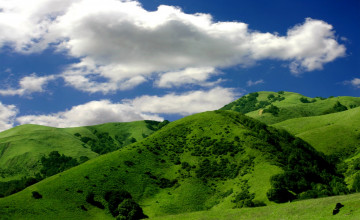 Green Hills Wallpaper