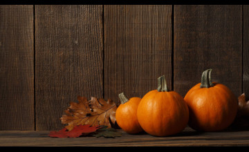 Happy Thanksgiving Backgrounds