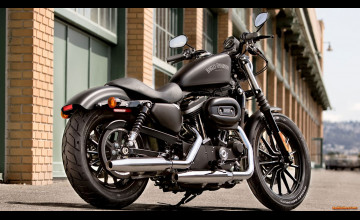 Harley Davidson 883 Iron