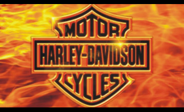Harley Davidson Screen