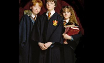 Harry Ron and Hermione