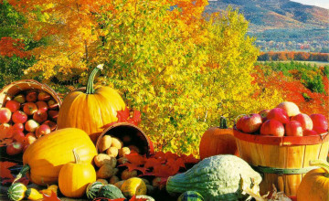 Harvest Autumn Wallpaper Free