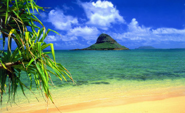 Hawaii Beach Pictures Wallpapers