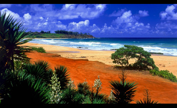 Hawaii Desktop Beach Pictures
