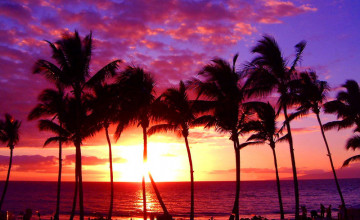 Hawaii Sunset Pictures Wallpaper