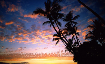 Hawaiian Desktop Wallpapers