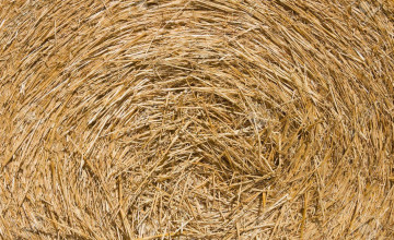 🔥 [10+] Haystack Backgrounds | WallpaperSafari