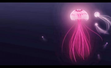 HD Jellyfish Wallpaper