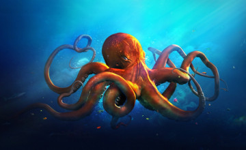 HD Octopus