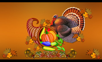 HD Turkey Wallpaper