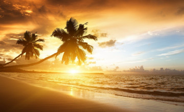 HD Wallpaper Beach Sunset