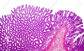Histology Backgrounds