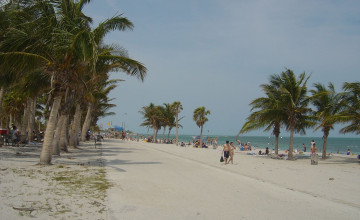 Hollywood Beach Wallpapers