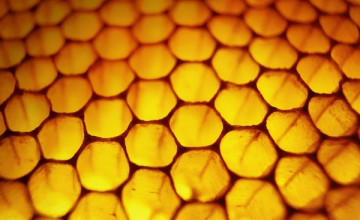 Honeycomb Windows 8