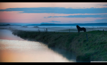 Horse Landscape