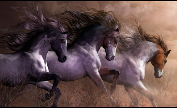 Horse Print Wallpapers