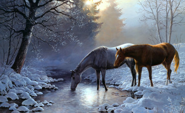Horse Snow Wallpapers