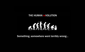 Human Evolution Wallpaper