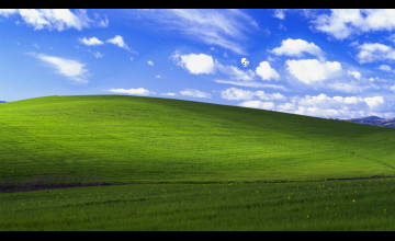 Ikachan Backgrounds
