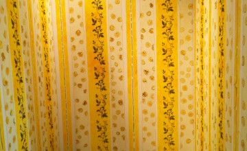 Imagery in the Yellow Wallpapers