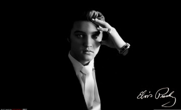 Images Resolution Elvis Wallpapers