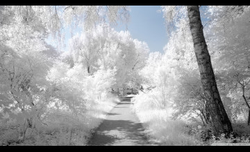 Infrared Backgrounds