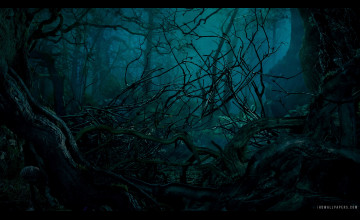 Into The Woods Wallpaper