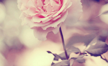 iPhone Wallpapers Tumblr for Girls