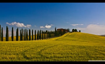 Italian Countryside
