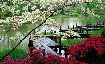 Japanese Garden HD