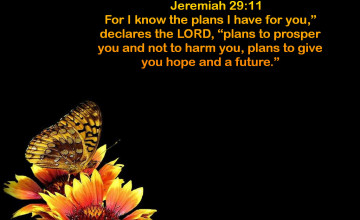 Jeremiah 29 11 KJV Wallpaper