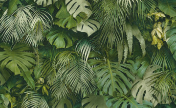 Jungle Green Wallpapers