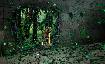 Jungle Wallpapers Desktop