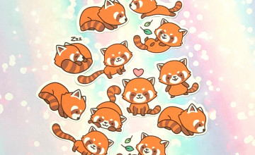 Kawaii Red Panda Wallpapers